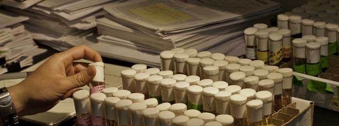 Scientist Examining Vials