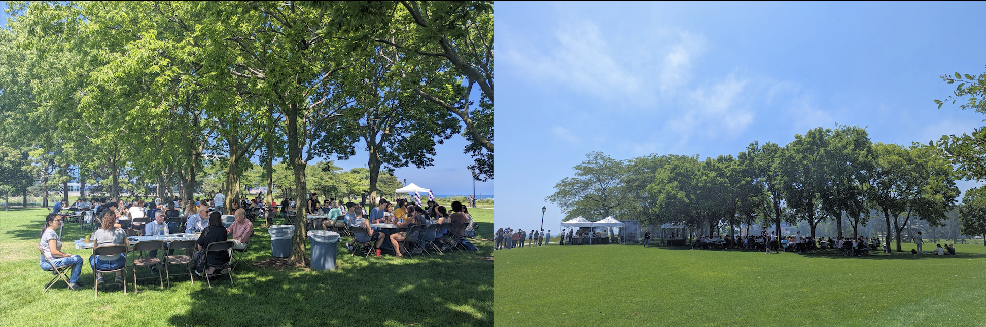 mbs-picnic-collage2.png